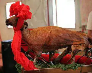 广州御阳餐饮宴会美食外送周年庆典