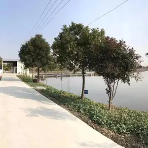 长兴义力家庭农场