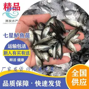 �ձ��������� ��ˮ���� �������� ����������ֳ����
