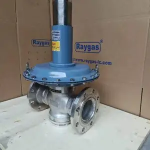 氢气调压器 RAYGAS调压阀 RMN系列 不锈钢材质
