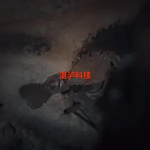 ���յ糧��������ĥ����������Ƭ�޲�����ܵ��Ľ��޲�������