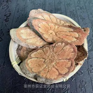 �в�ҩ���������� �����ҩ��硢�ƿ��ڳ���