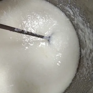 核壳型聚合物微球在线式乳化机