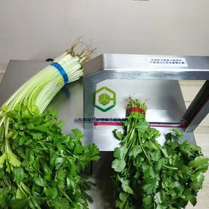 浙江温州小型蔬菜捆扎机绿色蔬菜无胶带扎捆机粉干香肠纸币捆扎机