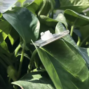 ������˿������֡���ʴ�������ʴ�̡�������������