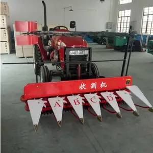 �������Ͳ˸�ɹ�� С������ˮ����ɹ�� ��ũ ���׸˷�Ƭ��