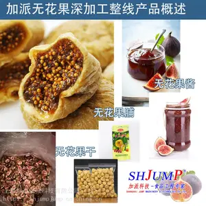 无花果干加工 无花果果酱加工生产线 无花果脯加工设备