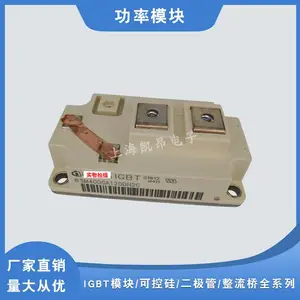 德国全新原装IGBT功率模块BSM200GA170DLC BSM200GA170DN2现货