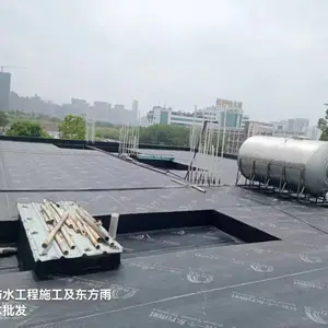 东方雨虹防水东莞总经销,东方雨虹防水东莞旗舰店,东方雨虹防水补漏东莞总店
