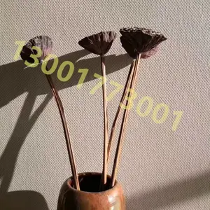 ��ܽ��ǽ����Ч��ͼ�������� ʯӢ�ڲ�ȫ����������