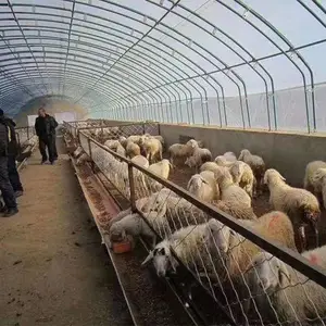 �����첼������ֳ������ƹ�˾ ���ܹܲɹ�Ч���� ³��
