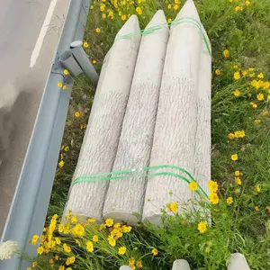中珺直径30钢筋混凝土仿木桩 水利护坡工程水泥河道桩