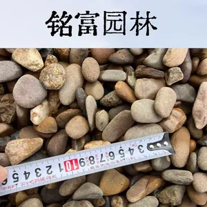 水洗抛光1-3公分鹅卵石 庭院铺面鱼缸垫底小石头大量现货