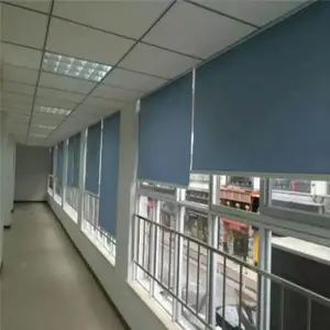 ˳��칫�����ڹ����������˳��ѧУ��Ԣ��Ԣ��Ӧ ����
