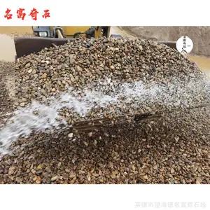 �㶫����ʯ֮�ң���԰�����̵ؽ���ʯ�ӣ��̻�����װ�ε�׺ʯ
