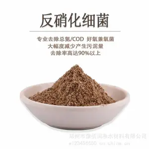 好氧菌菌种培养供应 用于工业污水 化工废水菌种活化