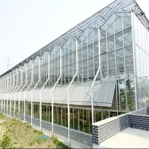 博利品牌 智能精控温室 育苗大棚 植物培养 日光植物生长温室