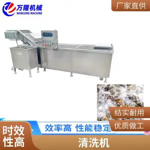 中央厨房用洗菜机 鸡肉清洗机 小型排骨肉类清洗机 海鲜涡流清洗机器