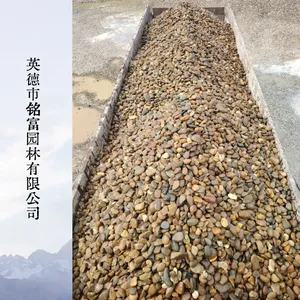 英 德原产河滩卵石 多规格分选 吨包散装均可整车直发