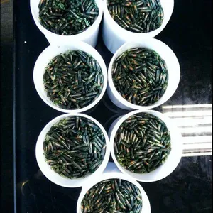 动物芯片厂家