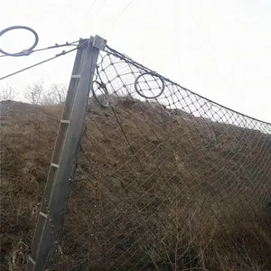 ����ѡ����������� ֩�������� �������������� ɽ�°�ȫ������