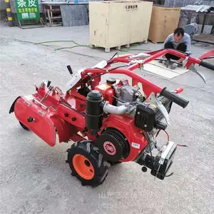 186��������ʽ������ ��԰������¢�� ҩ�������� ����ǰ�������� �������ٻ�