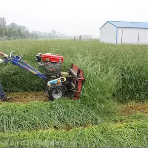 ��ĸ��ƽ���Ƭ�� �����������ɰ��ݸ�ɹ�� ��ʥ