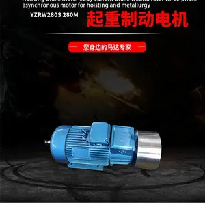 ���ؼ�ұ���������ƶ�����ת�������첽�綯��YZRW225M-6 30KW