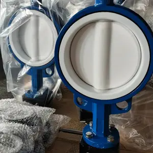 D671F4-10C���ֶ��ķ��Լе��� DN250 �������ֶ�������������