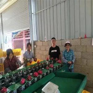 ��������ѡ�豸�ܹ�һ�����ÿ��ٷ�ѡ�����ˮ���������ˮ���ּ��豸