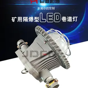 DGS30/127L矿用隔爆型LED巷道灯30W煤矿井下铜室照明灯