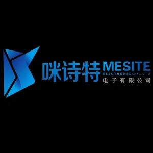 恩平市咪诗特电子有限公司