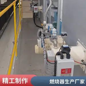 垃圾焚烧炉燃烧器 一次风加热燃烧器 二燃室天然气燃烧器 岱鼎