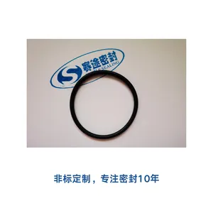 无菌制程设备 FFKM 全氟醚密封件 耐高温耐酸碱非标定制加工