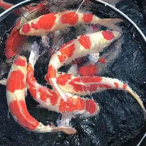 长兴义力家庭农场