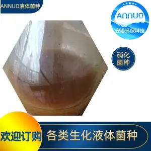 河北an-1029微生物菌种 水质净化复合菌 改善水质降解氨氮稳定污水处理菌