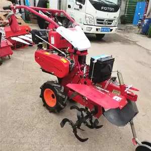 ��ʽ����С��ũ�������ڹ�����¢��ֽ���԰����������΢����