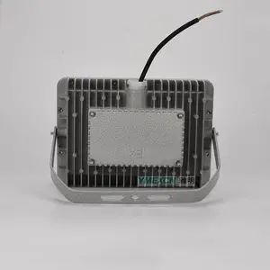 ����LED����Ͷ��� ����100W200W300W���η������YMD-A
