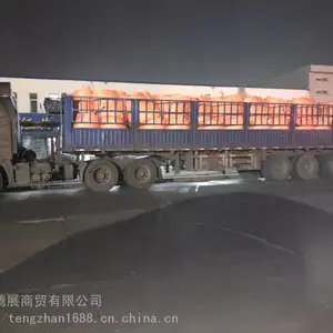 ��򲳺��������� �����Ǵ��� �������� ͩ�ش��� �ɶ���