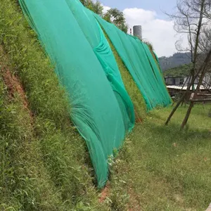 六盘水边坡不整土可以播草种草籽灌木种子吗能长吗