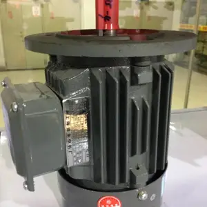  YE2-200L2-2 37KW 2�� �����첽�綯��