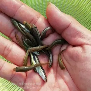 ��ũҵˮ�������������㶫��Զ���糡������ �������� �����˲������� ������