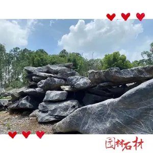 广西玉林原石太湖石 景观石 庭院别墅公园造景 大小多种造型