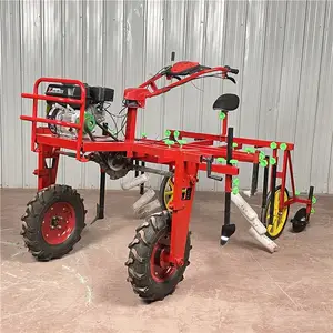 �Ͱ�����߼ܸ�Ĥ�� �ַ�ʽС�����̱�Ĥ�Ļ���