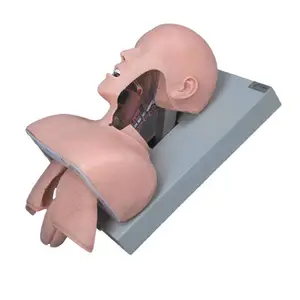 ����ҽ��J50�������ܽṹ���ѵ��ģ�Ϳڱ�ǻ�������Ȳ�����ѧ��ʾģ����