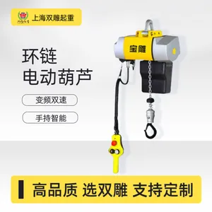变频双速起升环链电动葫芦链条起重葫芦吊机电动倒链轻小型定制