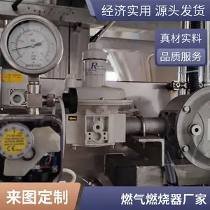 岱鼎燃烧 涂装烘干房 烤漆烘房燃烧系统 天然气燃烧器烧嘴源头厂家