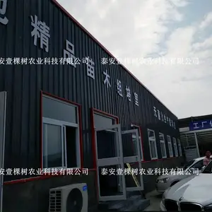泰安市壹棵树农业科技有限公司