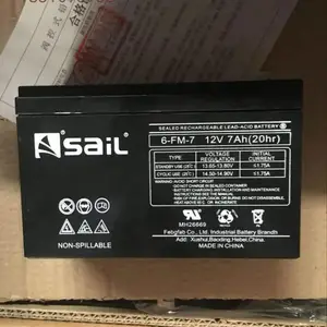 SaiL�緫6-CNF-100R����ʽ�ܷ���ά��Ǧ������12V100AHֱ������