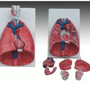 �����ġ���ģ��YR-A1077�����ġ���ģ��YR-A1077